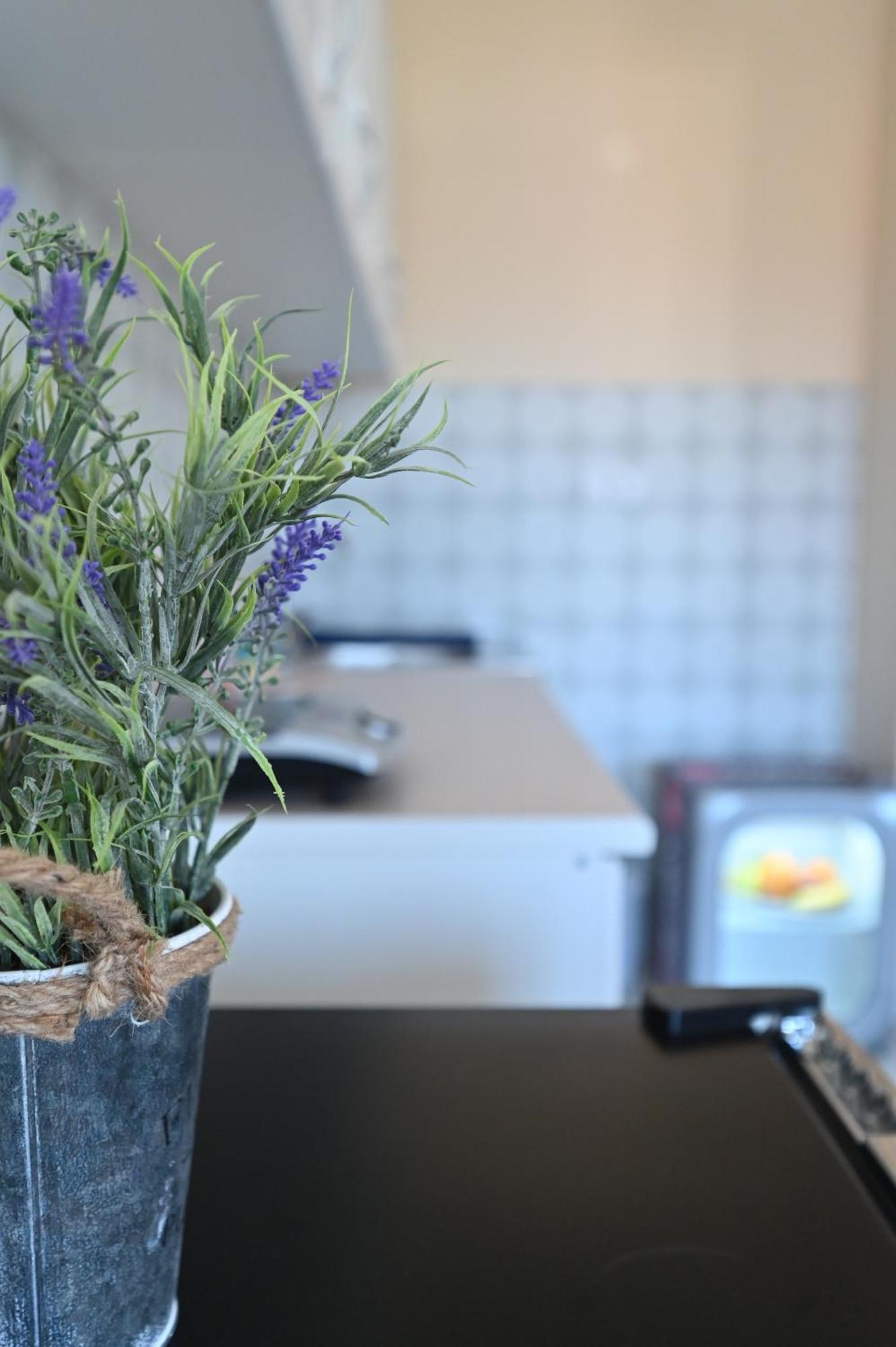 Apartmani TEA Vrnjacka Banja Bagian luar foto
